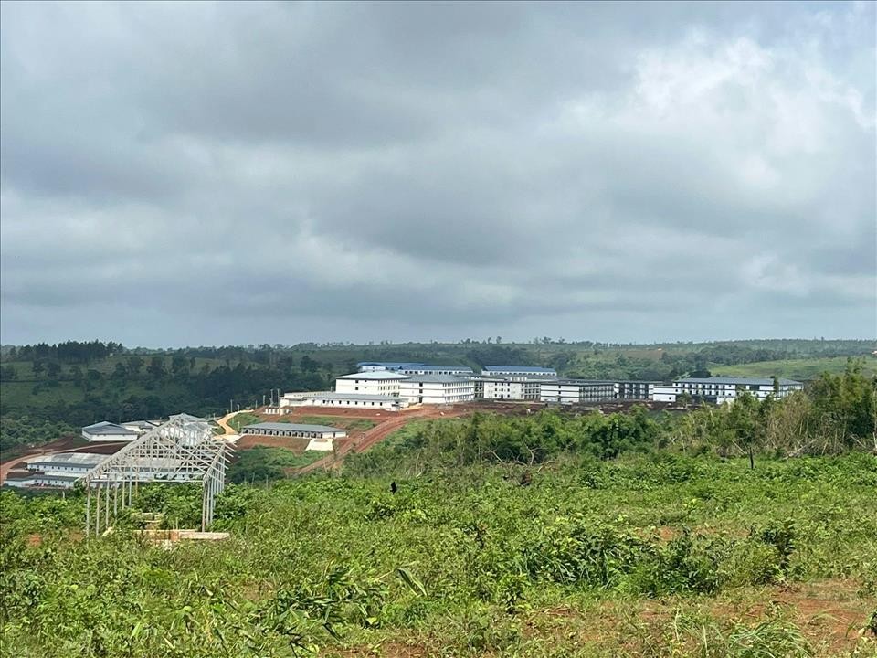 柬埔寨清剿电诈为何无法触及大型园区？